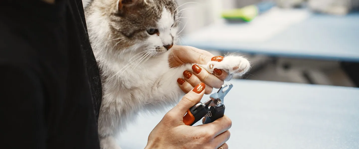 Reputation management for pet services